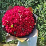 300 rosas