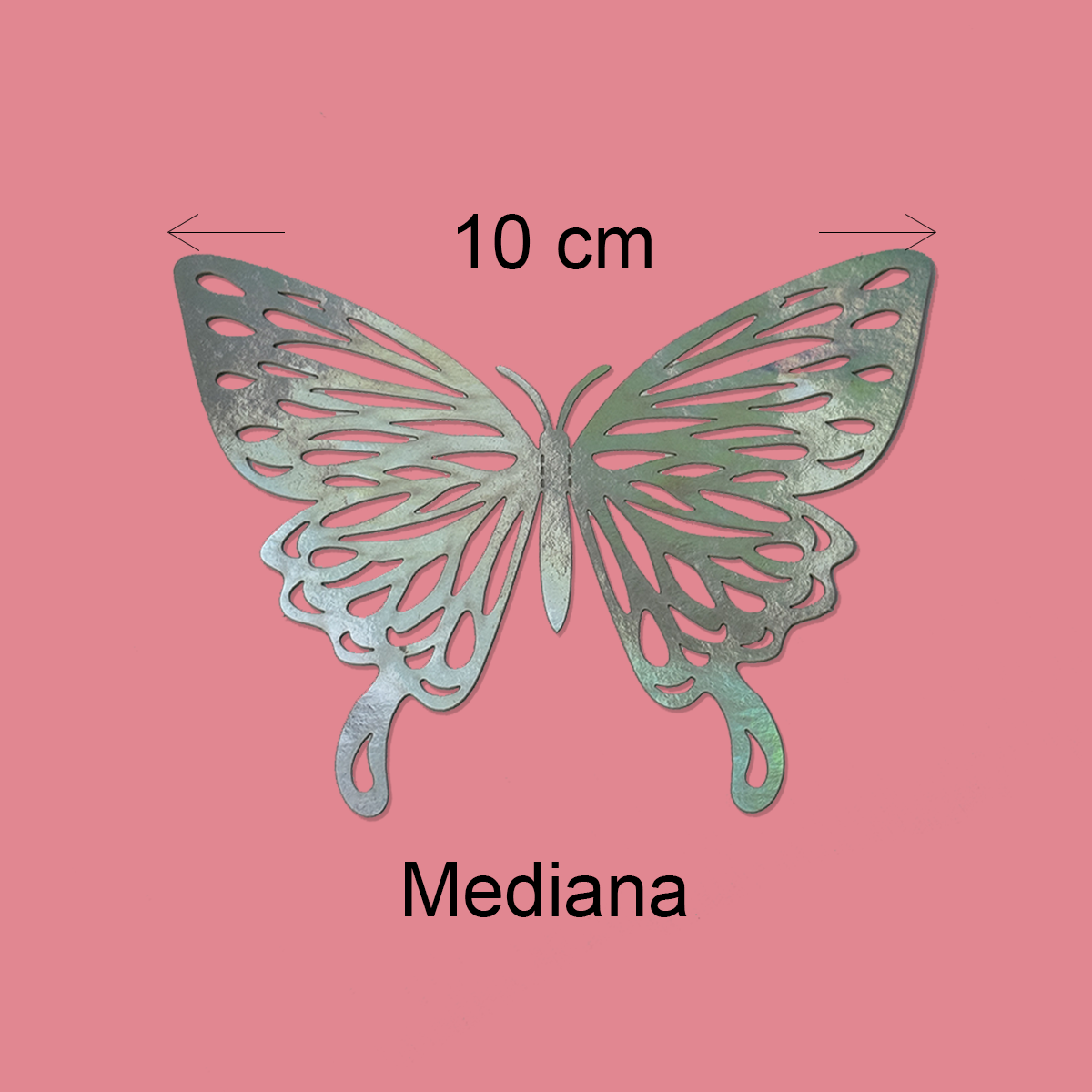 Mariposa Plateada Mediana